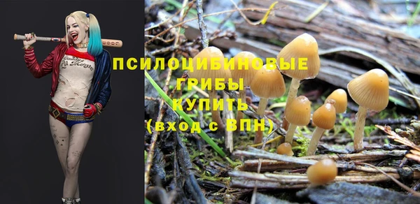 мет Баксан
