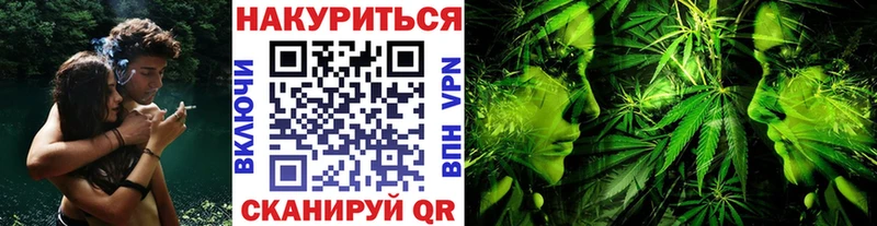 Купить закладки  Балашов  Бошки Шишки VHQ 